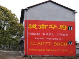 龙泉百分之90的人都不了解的农村墙体广告