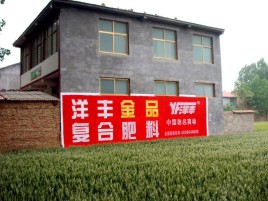 龙泉如何让墙体广告展现最大化效果