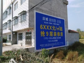龙泉墙体广告质量分析