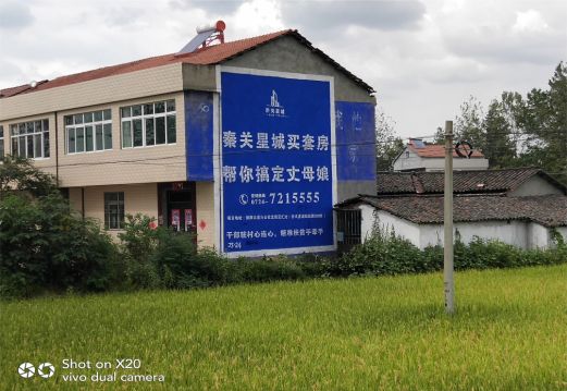 龙泉决定墙体广告价格的因素有哪些?