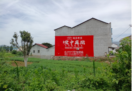 龙泉做墙体广告的意义