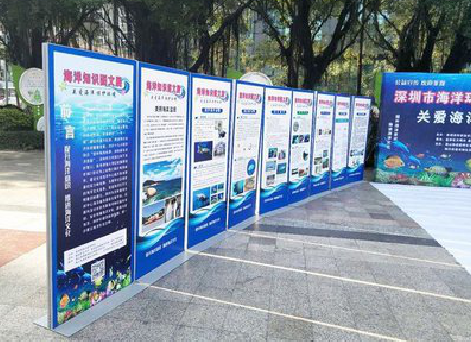 龙泉KT板的种类和知识。